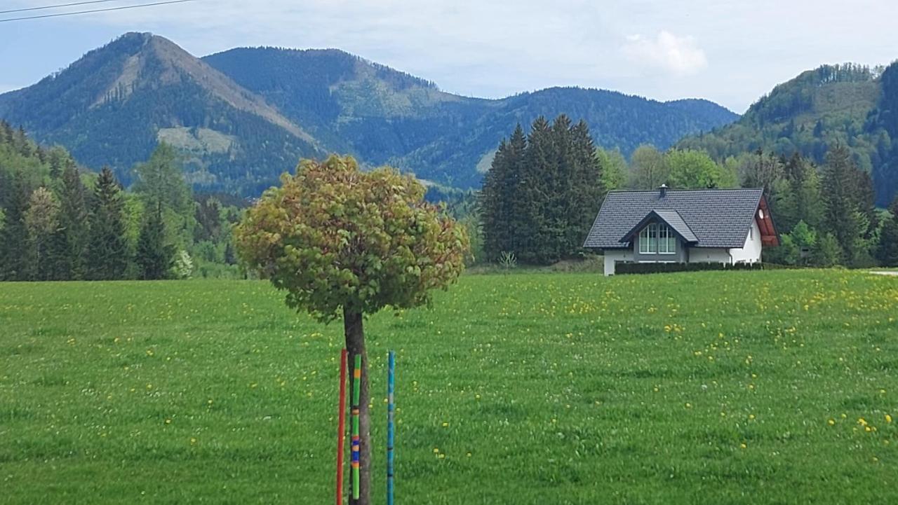 Ferienwohnung Seeberg Mit Almfeeling Faistenau Exterior photo